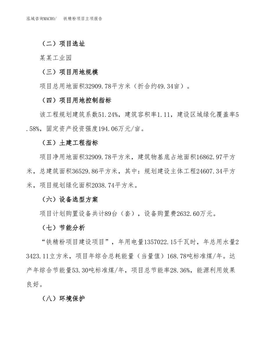 铁精粉项目立项报告.docx_第5页