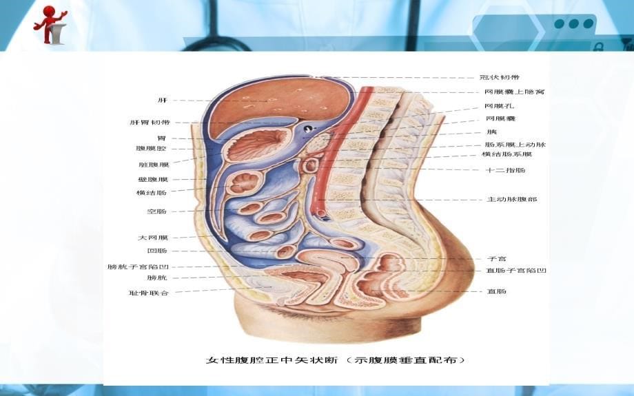 《外科护理》第十四章第一节急性化脓性腹膜炎_第5页