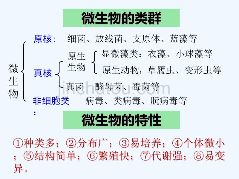 微生物实验室培养(公开课)_第2页