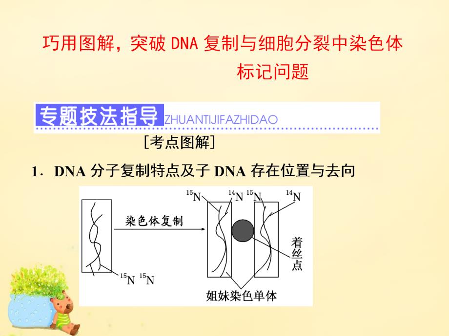 2017届高三生物一轮复习 巧用图解突破DNA复制与细胞分裂中染色体标记问题课件（必修2）_第1页