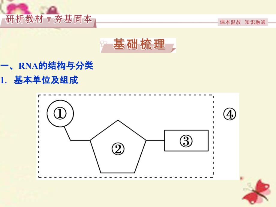 优化方案2017版高考生物大一轮复习 第六单元 遗传的物质基础 第21讲 基因的表达课件_第3页