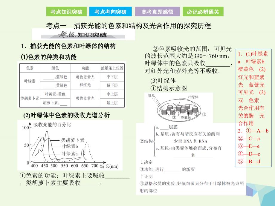 （全国卷 地区专用）2018高考生物总复习 第三单元 细胞的能量供应和利用第3讲能量之源——光与光合作用课件_第2页