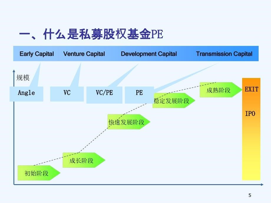 中国PE行业投资管理及退出_第5页