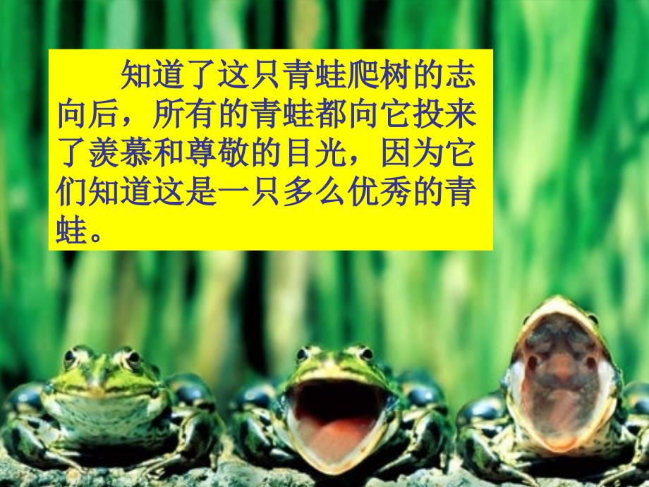 《树蛙故事》_第3页