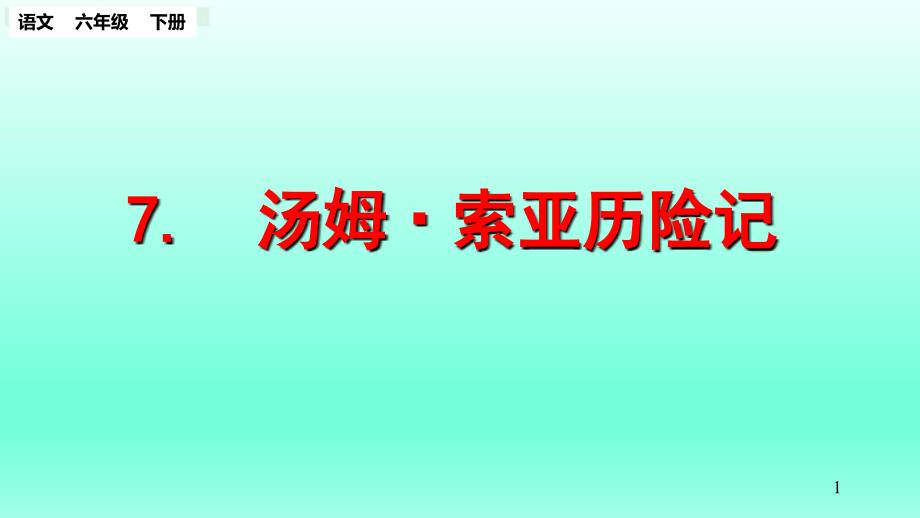 2020部编版小学语文六年级下册《汤姆·索亚历险记（节选）》课件.pptx_第1页