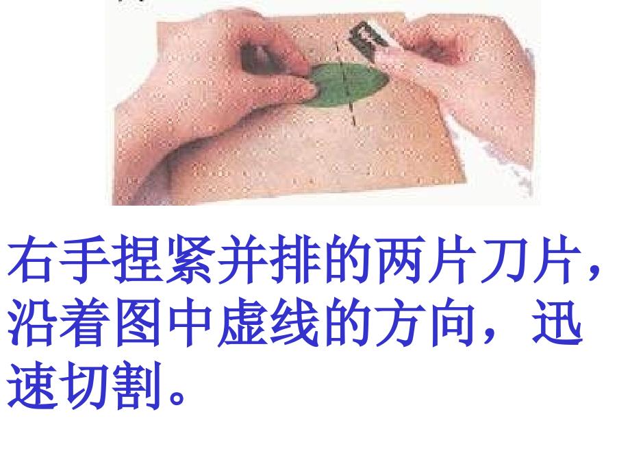 绿色植物与生物圈的水循环PPT教学培训课件_第4页