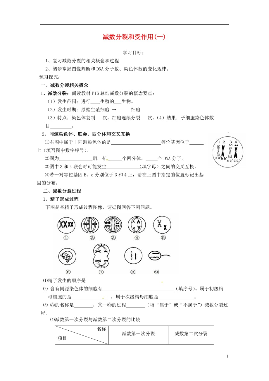 山东省平邑县高中生物第二章基因和染色体的关系第1节减数分裂和受作用（一）学案（无答案）新人教版必修2_第1页