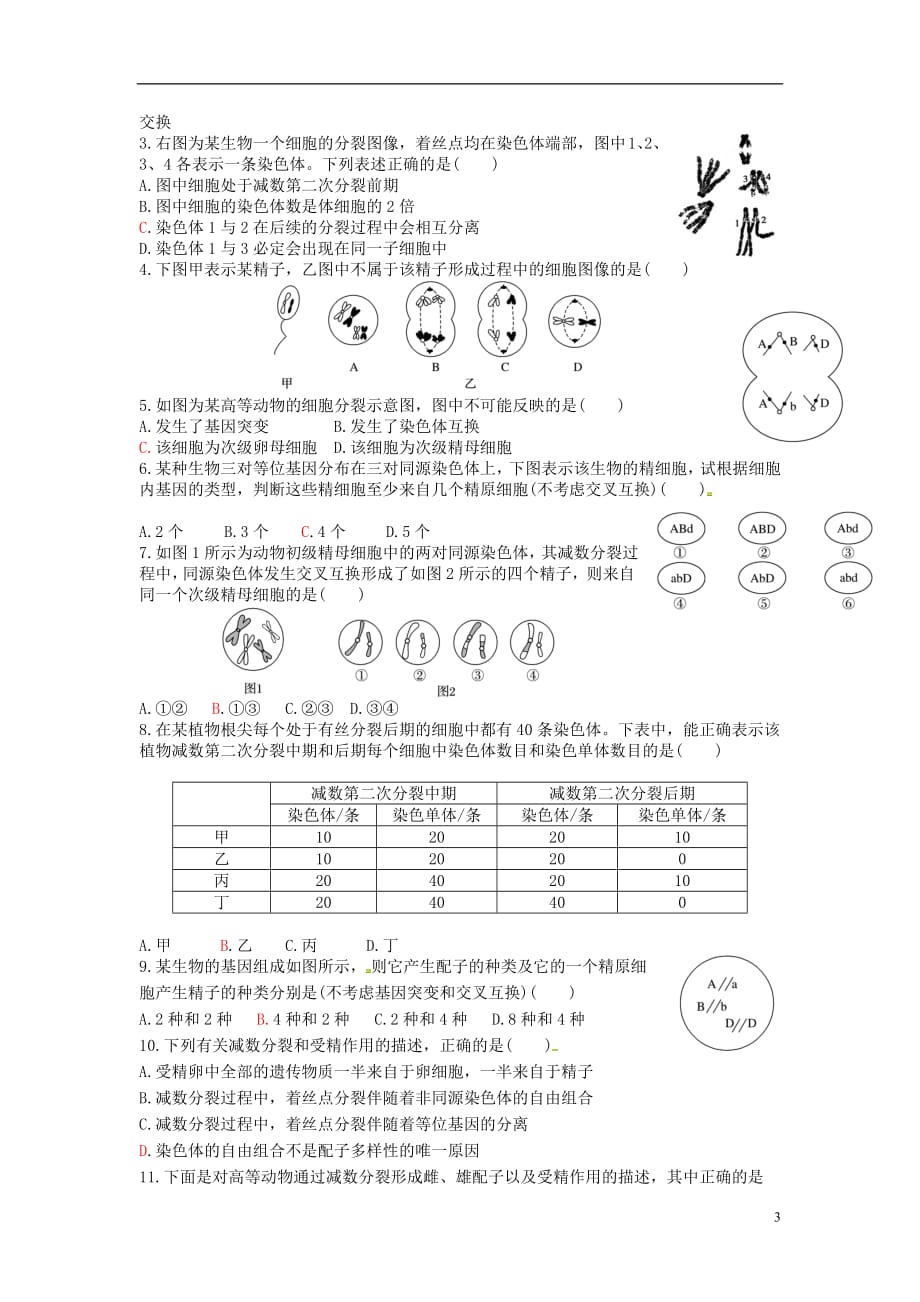 山东省平邑县高中生物第二章基因和染色体的关系第1节减数分裂和受作用（一）学案（无答案）新人教版必修2_第3页