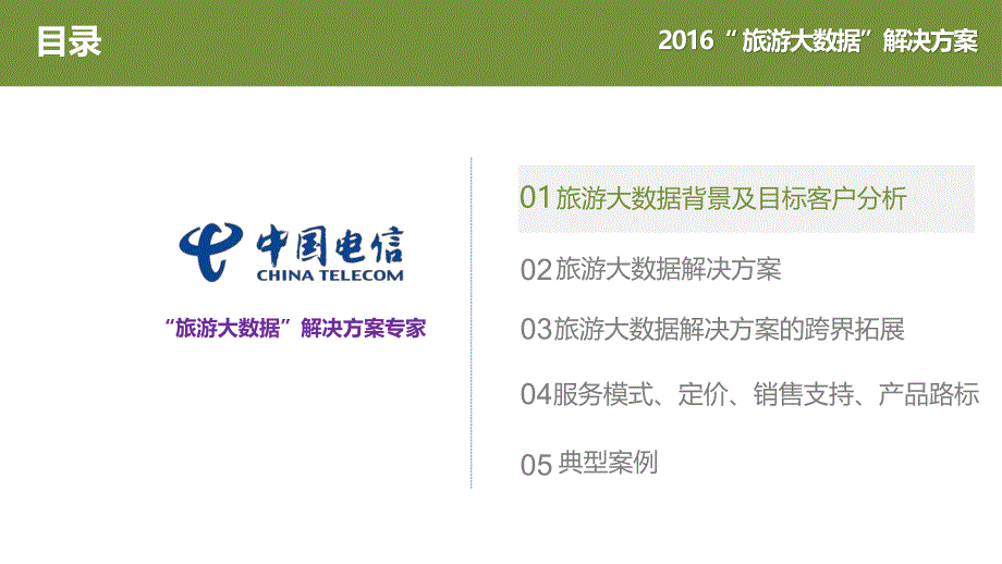 中国电信旅游大数据整体解决办法_第2页