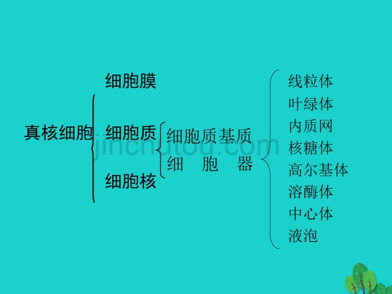 贵州省遵义市高一生物 细胞器—细胞内的分工合作优质课件_第2页