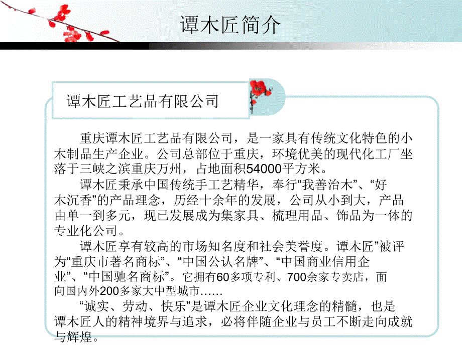 谭木匠营销策略_第4页