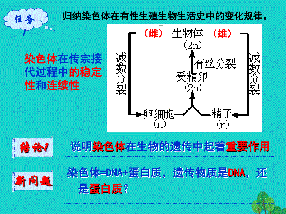辽宁省沈阳市高中生物 第三章 细胞的基本结构 3.1 DNA是主要的遗传物质优质课件 新人教版必修1_第3页