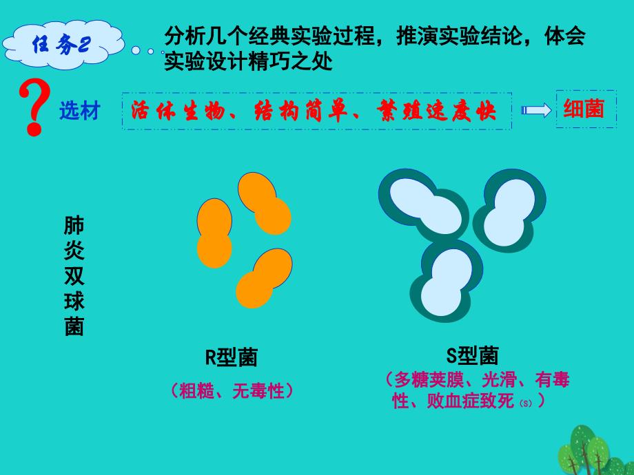 辽宁省沈阳市高中生物 第三章 细胞的基本结构 3.1 DNA是主要的遗传物质优质课件 新人教版必修1_第4页