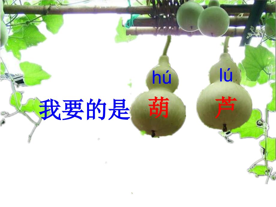 我要是葫芦(00002)_第1页