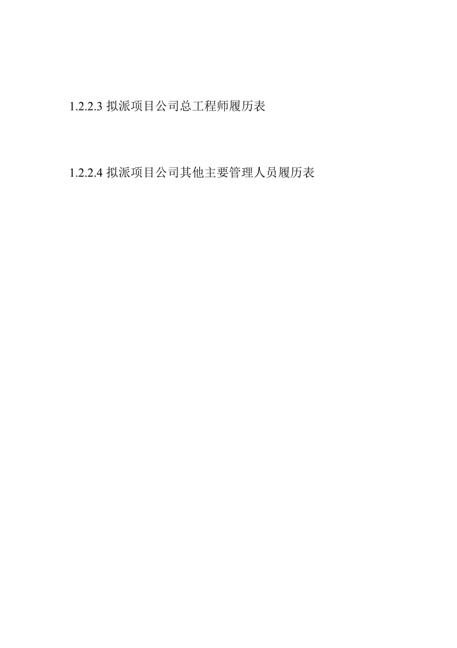 综合交通枢纽工程投融资建设项目公司拟投入主要人员情况_第3页