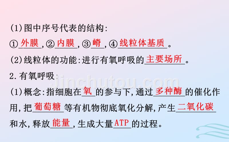 2018-2019学年高中生物 第五章 细胞的能量供应和利用 第三节 ATP的主要来源—细胞呼吸 5.3.2优质课件 新人教版必修1_第4页