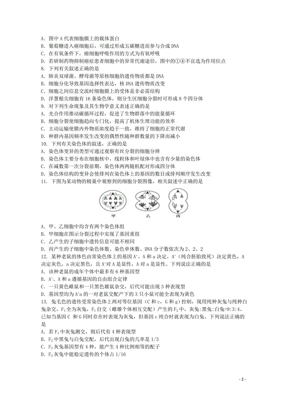 江苏省2020届高三生物上学期11月考试试题_第2页