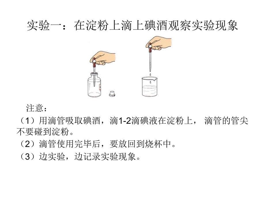 六年级下册科学课件2.3 米饭、淀粉和碘酒的变化 教科版 (17)_第5页