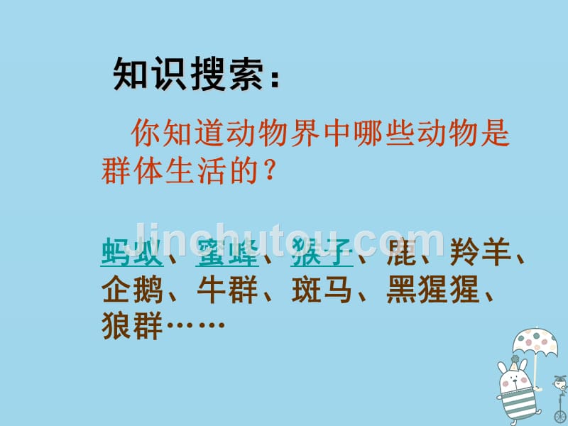辽宁省凌海市2018年八年级生物上册 5.2.3社会行为优质课件 （新版）新人教版_第1页