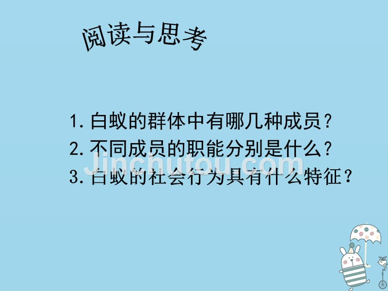 辽宁省凌海市2018年八年级生物上册 5.2.3社会行为优质课件 （新版）新人教版_第4页