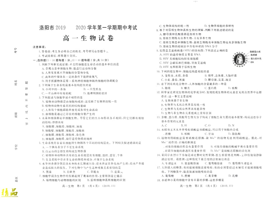 河南省洛阳市2019_2020学年高一生物上学期期中试题_第1页