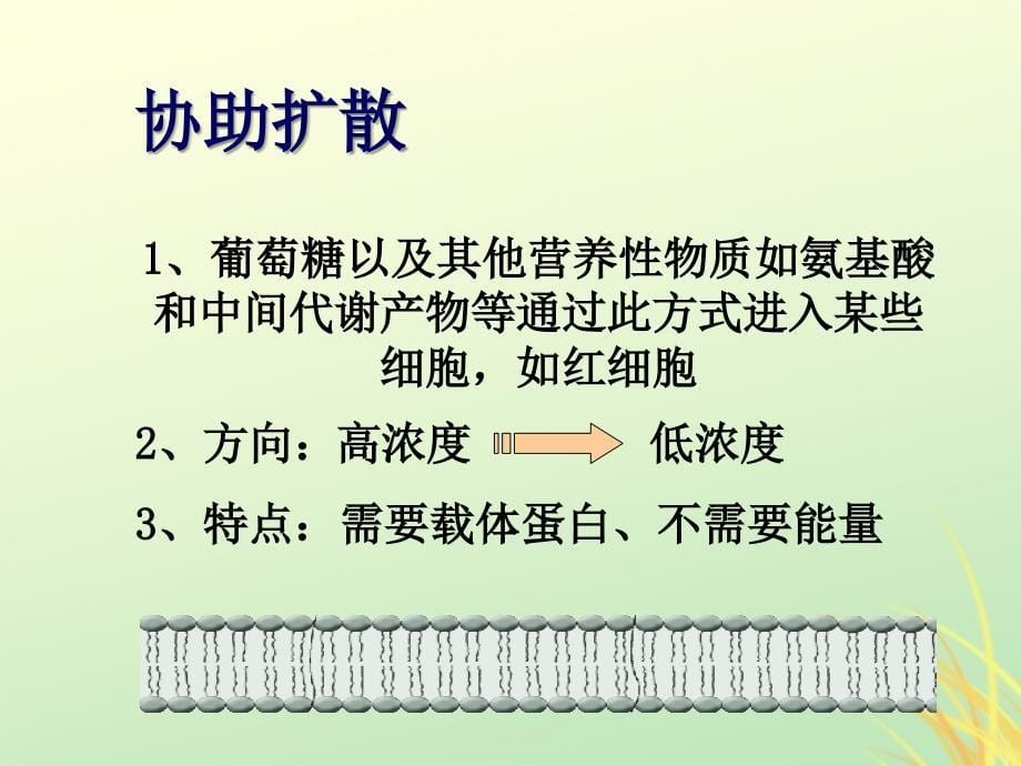 2019高中生物 专题4.3 物质的跨膜运输的方式同步优质课件 新人教版必修1_第5页