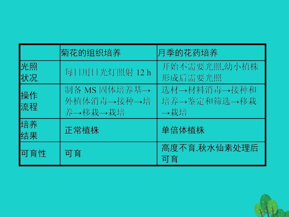 高中生物 专题3 植物的组织培养技术整合优质课件 新人教版选修1_第4页