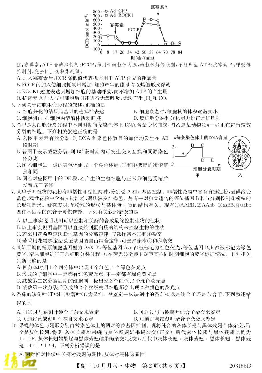 吉林省重点高中2020届高三上学期月考（二）生物试题_第2页