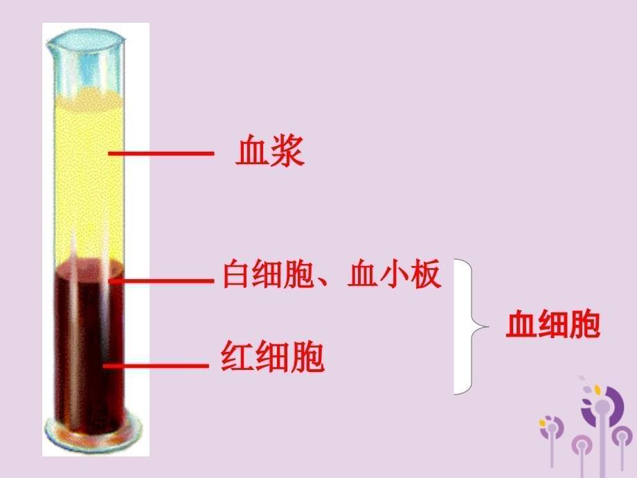 七年级生物上册 4.4.1物质运输的载体优质课件 鲁科版五四制_第5页