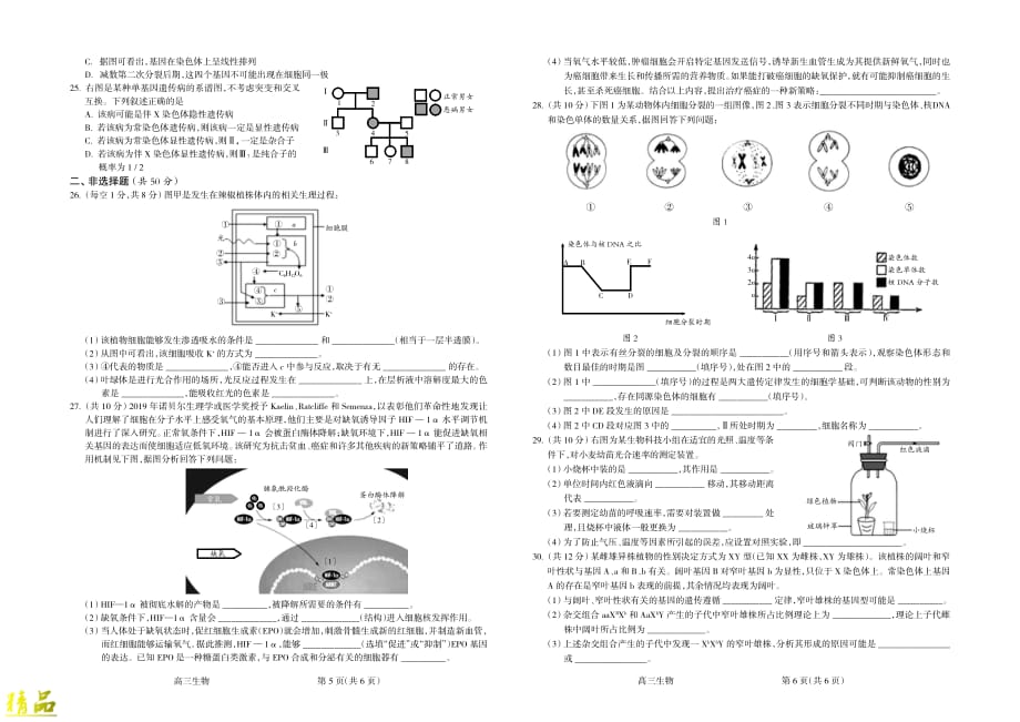 山西省吕梁市育星中学2020届高三生物上学期10月份阶段性测试试题_第3页