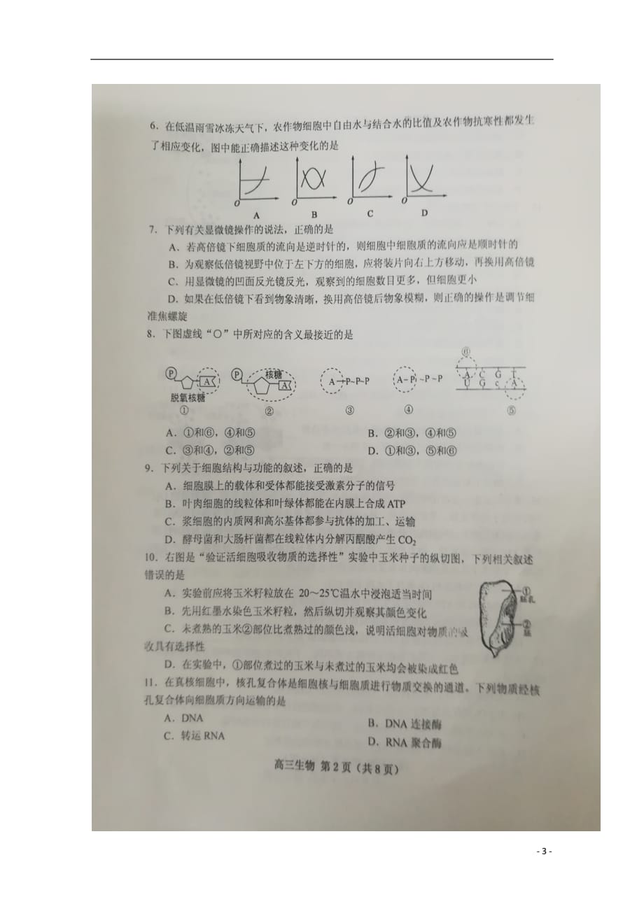 山东省五莲县2020届高三生物上学期模块诊断性检测试题（扫描版）_第3页