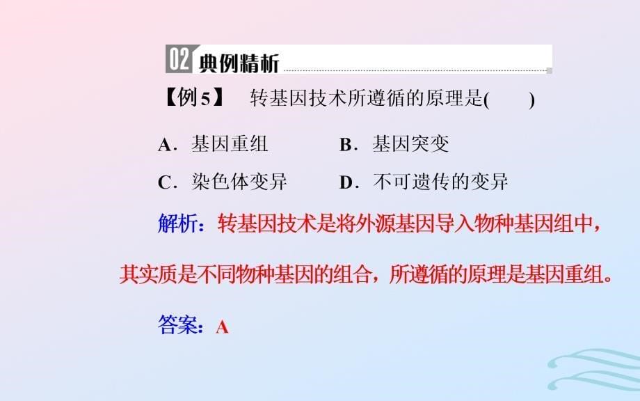 2019高中生物学业水平复习 专题九 生物的变异 考点5 转基因食品的安全优质课件_第5页