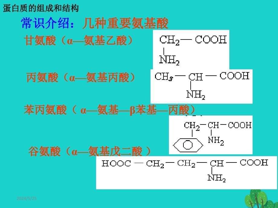 2017高中化学 第一章 关注营养平衡 第三节 生命的基础—蛋白质（第2课时）课件 新人教版选修1_第5页