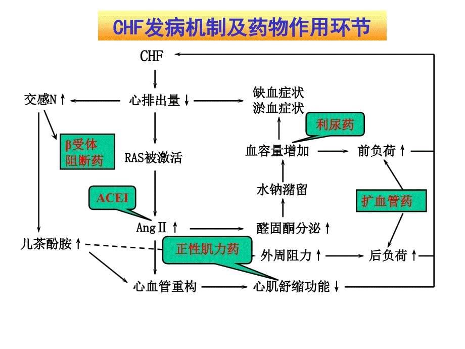 抗心功不全药-医学资料_第5页