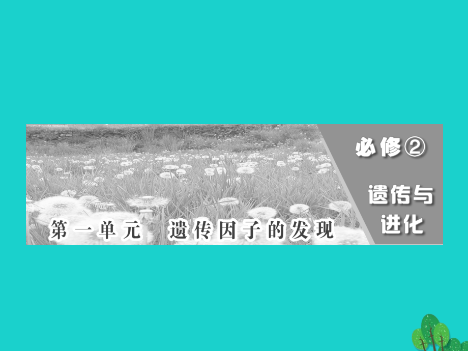 山东省乐陵市高中生物 第一章 遗传因子的发现 1.1 孟德尔的豌豆杂交实验（一）课件 新人教版必修2_第1页