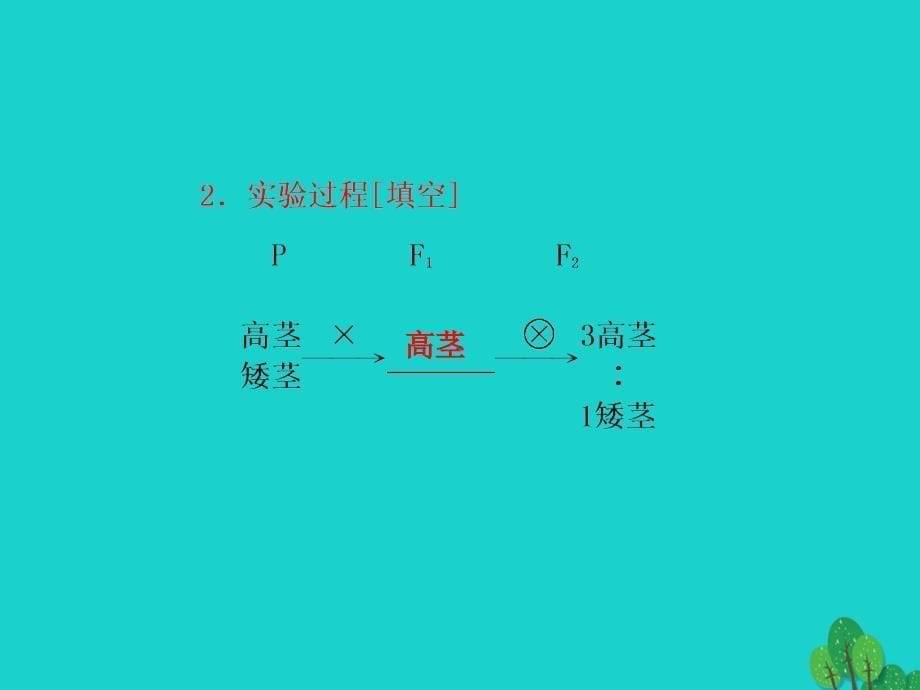 山东省乐陵市高中生物 第一章 遗传因子的发现 1.1 孟德尔的豌豆杂交实验（一）课件 新人教版必修2_第5页