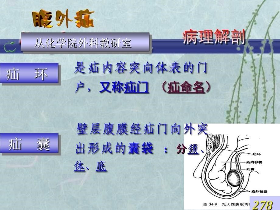 A-腹外疝6-医学资料_第5页