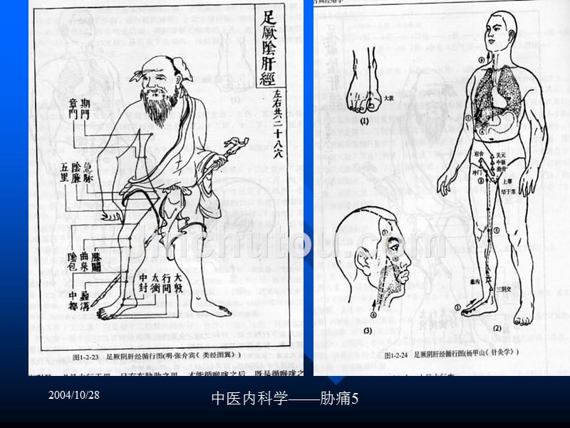 dd第四章：肝胆病证-医学资料_第5页