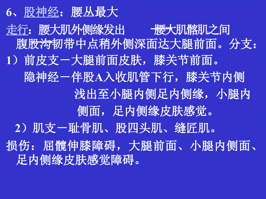 ww(一)组成腰骶干和全部骶尾神经的前支-医学资料_第4页