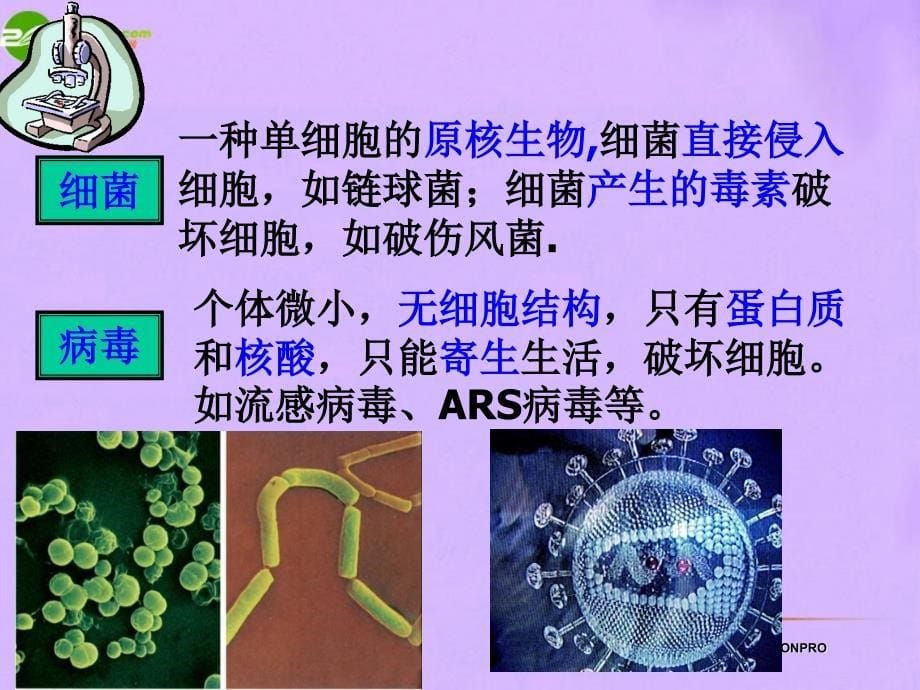 八年级生物下册 总复习课件 增强免疫预防疾病课件 人教新课标版-医学资料_第5页