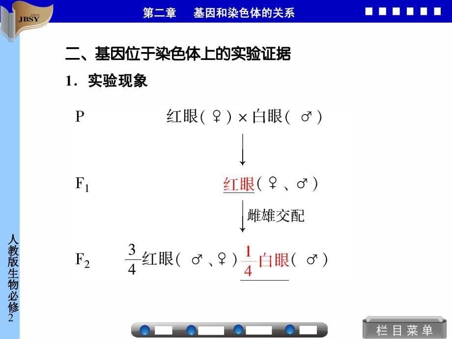 必修22-2基因在染色体上-医学资料_第5页