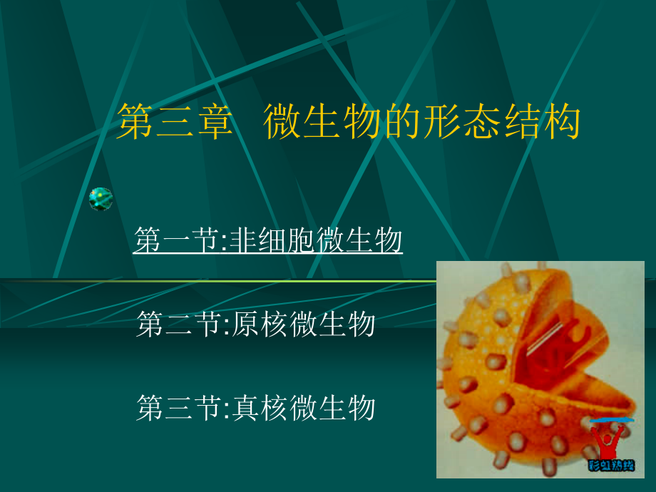 北工大 微生物学 第3章SARS-医学资料_第1页