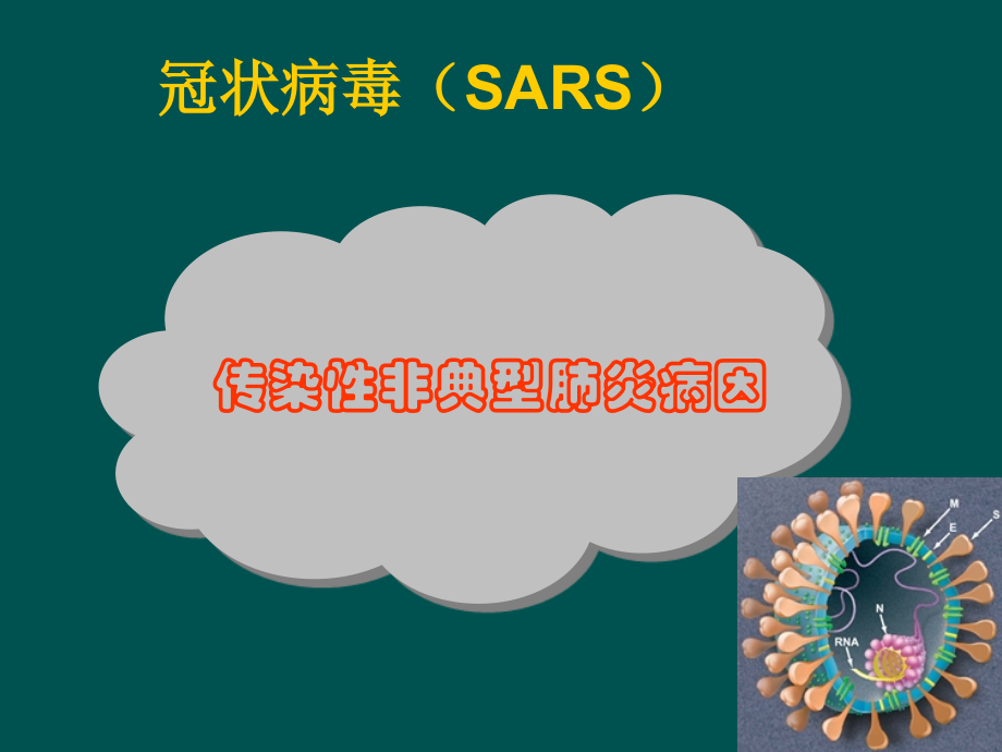 北工大 微生物学 第3章SARS-医学资料_第2页