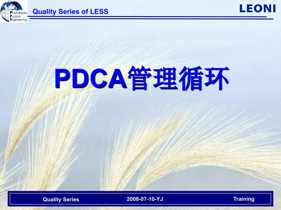 PDCA管理循环-医学资料_第2页