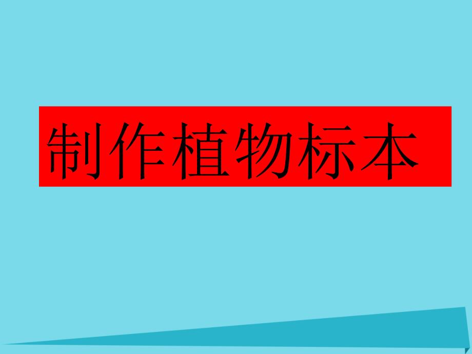 2017四年级科学上册 2.2 制作植物标本课件1 新人教版_第1页