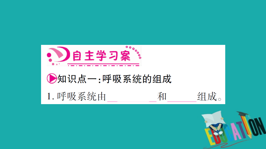 2018七年级生物下册 第四单元 第3章人体的呼吸习题课件 （新版）新人教版_第2页