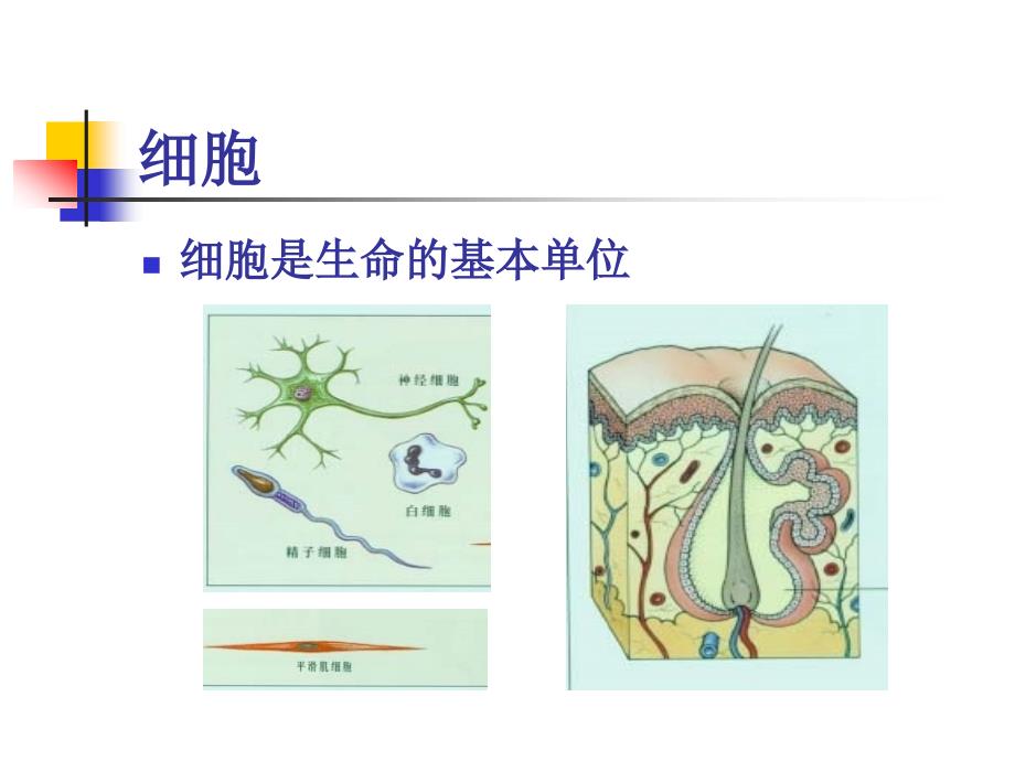 A3健康知识培训-医学资料_第4页