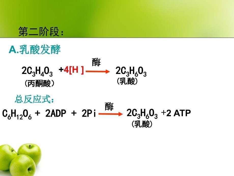 PPT厌氧呼吸-医学资料_第5页