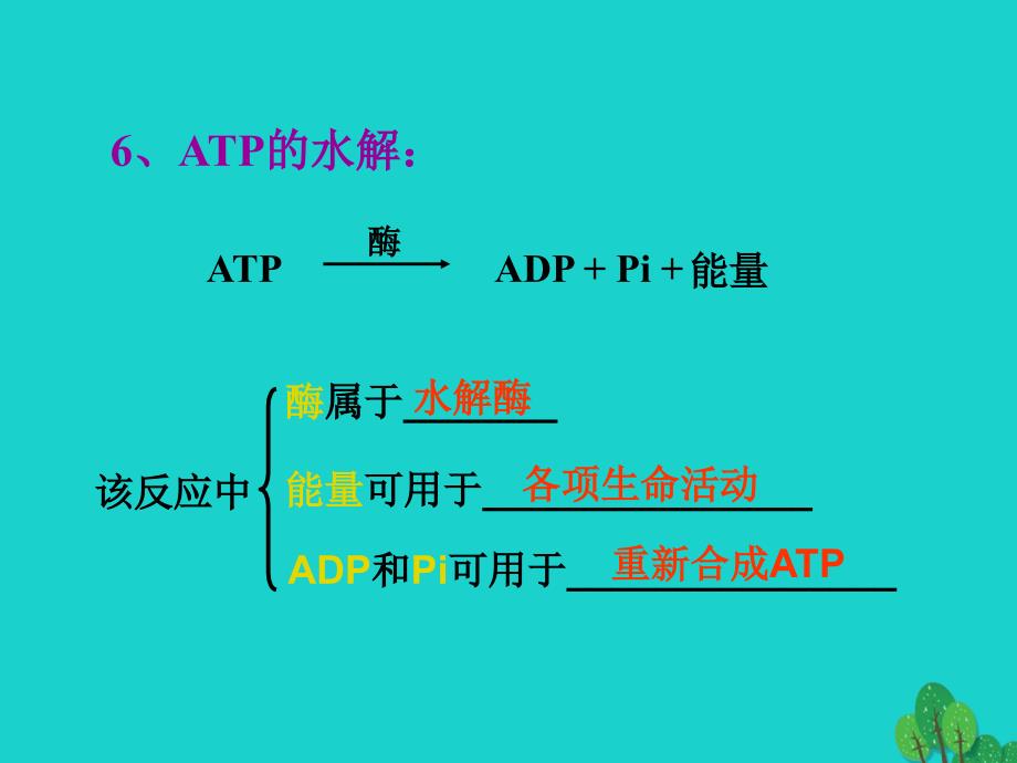 2017年高中生物 第四章 光合作用和细胞呼吸 4.1 ATP和酶1课件 苏教版必修1_第4页