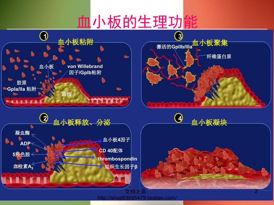 抗血小板药物-医学资料_第2页